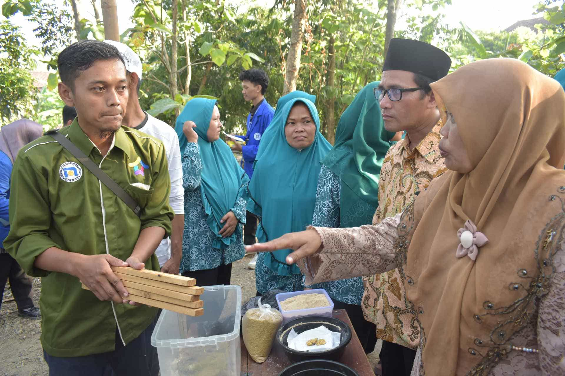 Praktik Budidaya Magot